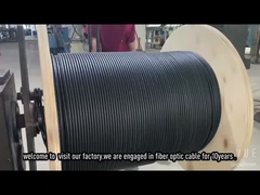 fiber optic cable sample