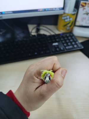 Не металлическая одиночная пядь G652D ядра 100/200m кабеля оптического волокна 6/12/24/48/96 куртки ADSS